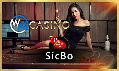 New Slot Game Release 2026